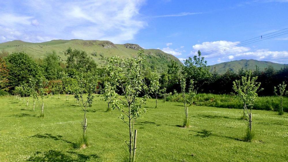 Foxglove Cottage Maybole Εξωτερικό φωτογραφία